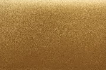 P Kaufmann Gibson Antique 119