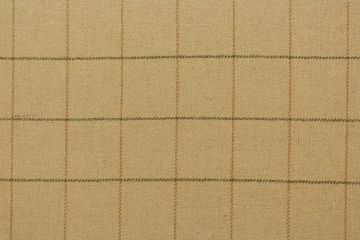 P Kaufmann Check Camel