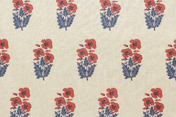 P Kaufmann Indira Americana