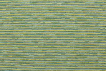 Sari Surprise Oasis Indoor and Outdoor