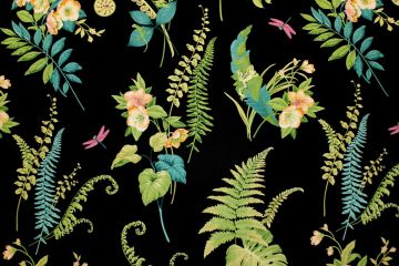 Green House Ebony 001