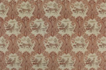 P Kaufmann Madagascar Cinnabar