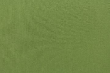 Sunbrella Spectrum Cilantro