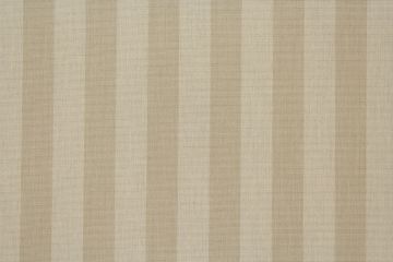 Sunbrella Expressive Sparrow