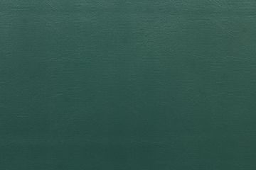 Vinyl Knit Back Hunter