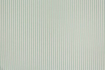 Ticking Stripe Teal