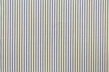 Ticking Stripe Blue