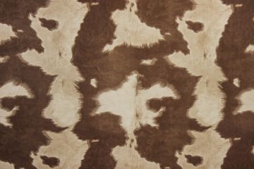Cowhide Brown/White 