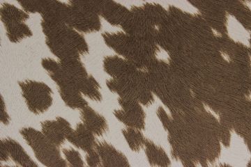 Udder Madness Palomino