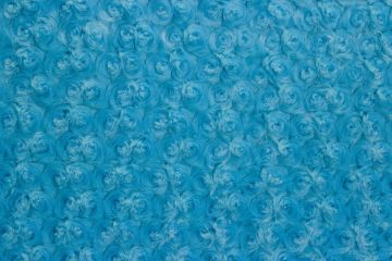 Rose Cuddle Turquoise