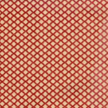 Gopala Persimmon BY Magnolia Fabrics****TEST****