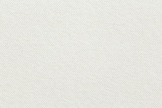 Revolution Terrier Bleach Performance  Fabric