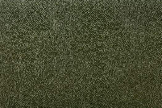 Eel Cactus  Fabric