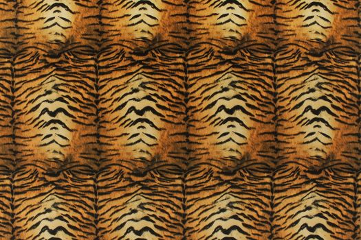 Tiger Brown Bk  Fabric