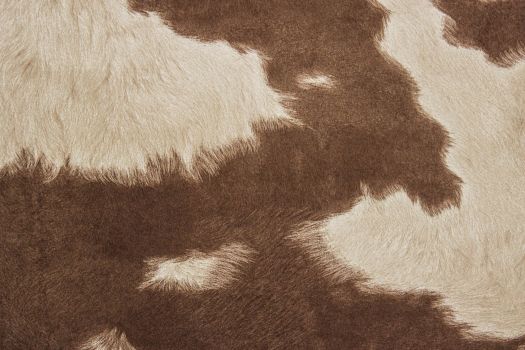 Cowhide Brown White Fabric