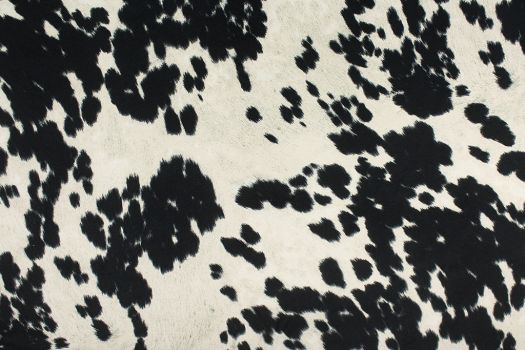 Udder Madness Black Fabric