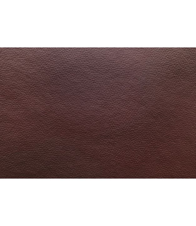 Champion Burgundy