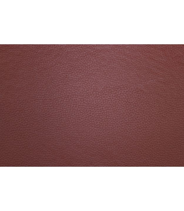 Champion Terracotta
