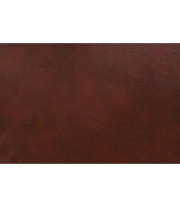 Cantina Recycled Leather