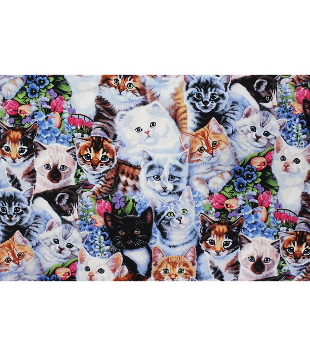 Kitten Flowers Multi