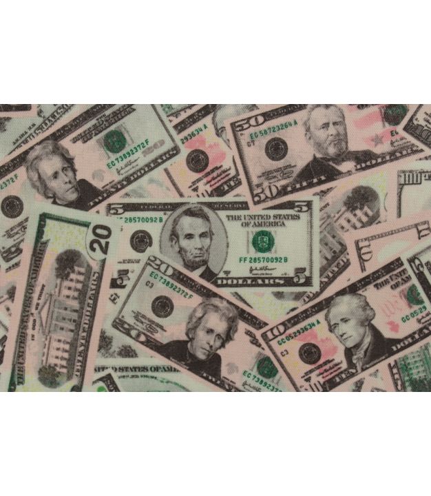 US Money Print on Canvas
