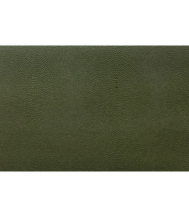 Eel Cactus