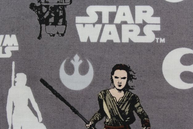 Star Wars The Force Awakens Rey Iron 02