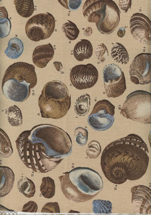 Covington HL Newport Peacock