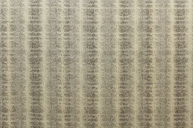 Python Natural One Time Special