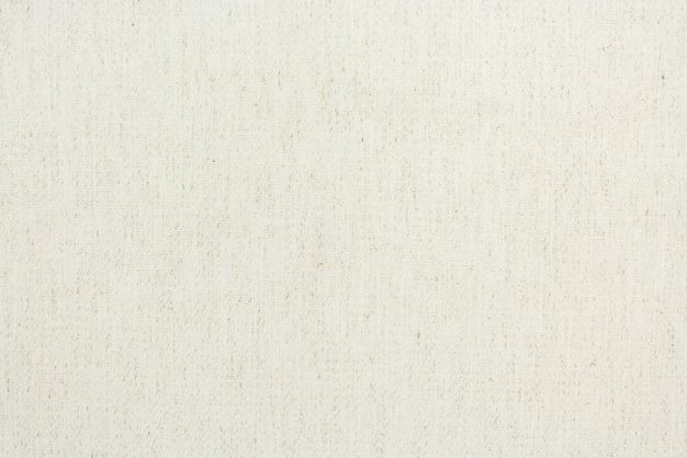 Elise Snow with Crypton Home Finish - The Fabric Mill