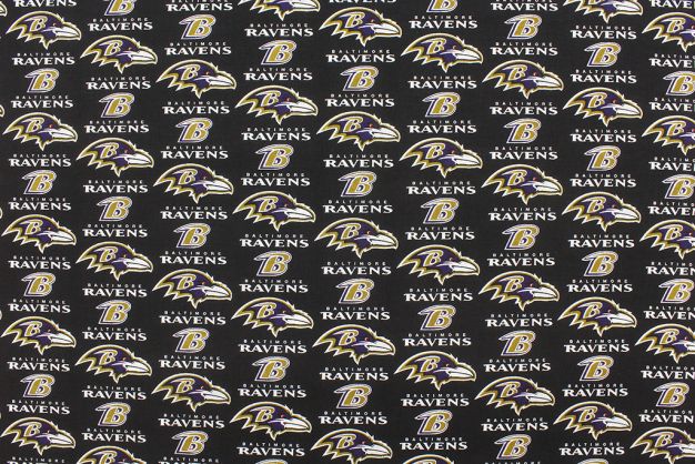 NFL National Ravens 6014-D