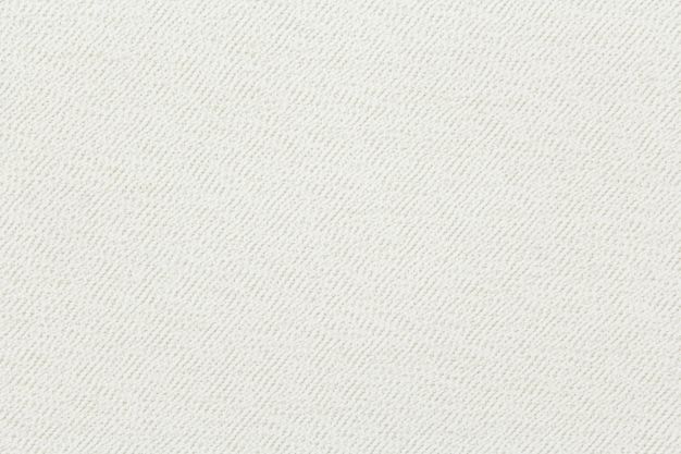 Revolution Terrier Bleach