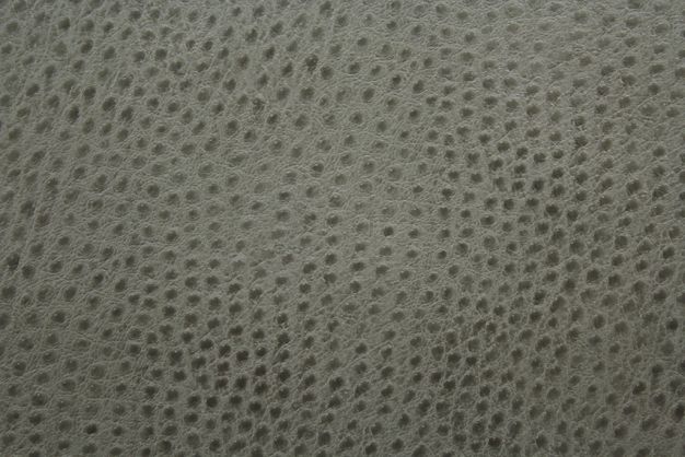 Mitchell Faux Leather Outback