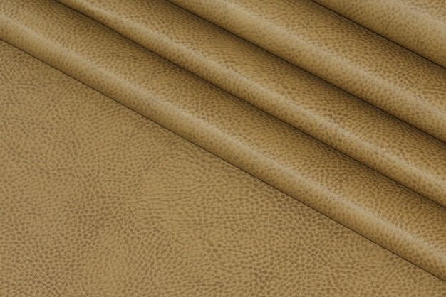 Illusion Buckskin
