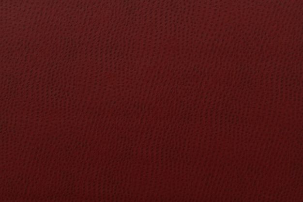 Nassimi Symphony Phoenix Ruby