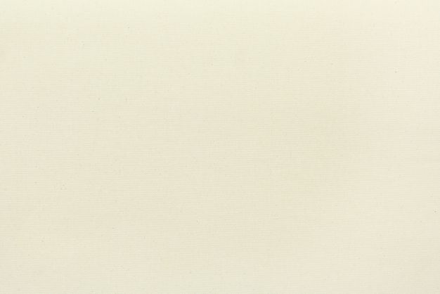 Aurora Artist Canvas