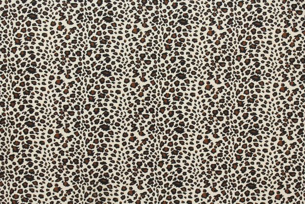Cheetah Brown Bk