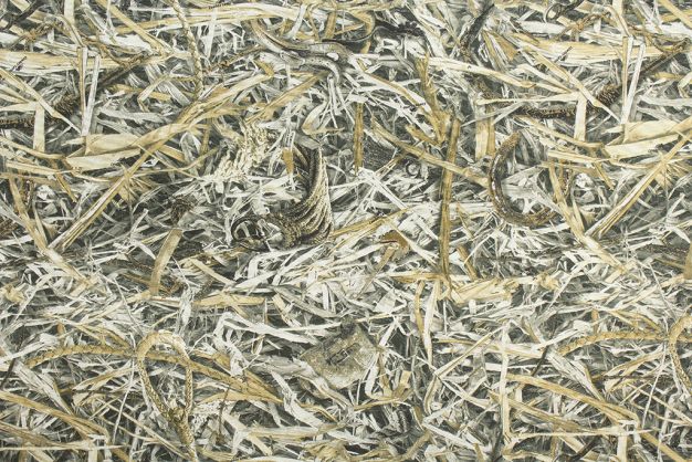 One Time Special Cowboy Camo
