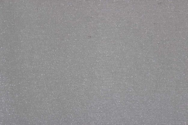 Richloom Lavish Silver