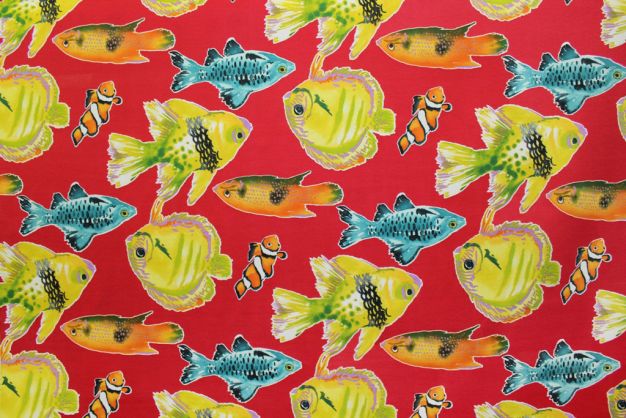 Kiley Sunset Indoor and Outdoor