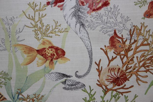 Coral Reef or Seaworld A 