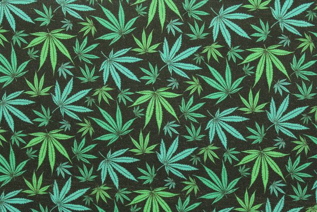 Marijuana Leafs on Black 3377
