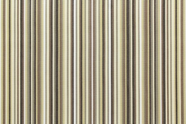 Tempotest Lido Stripe Black Beige 1038/81