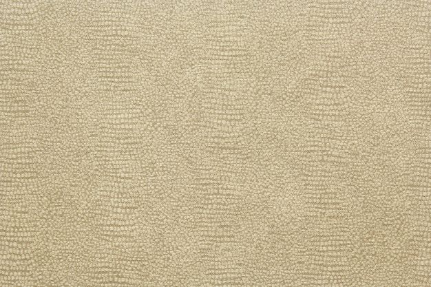 Textile Fabric Associates From The Gecko