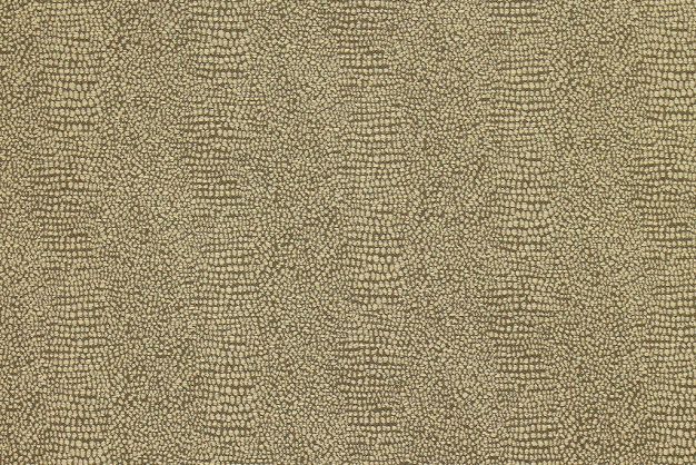 Textile Fabric Associates From The Gecko Taupe