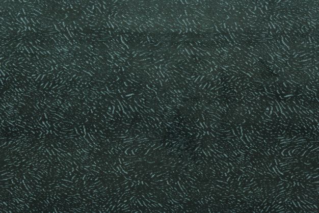 P Kaufmann Intaglio Spruce 330