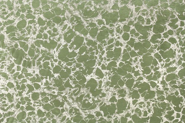 P Kaufmann Caro Lichen