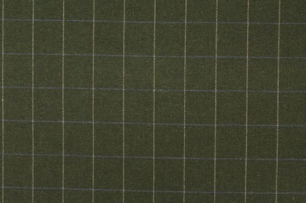 P Kaufmann Martin Check Moss