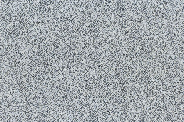 P Kaufmann Spot on Lakeland
