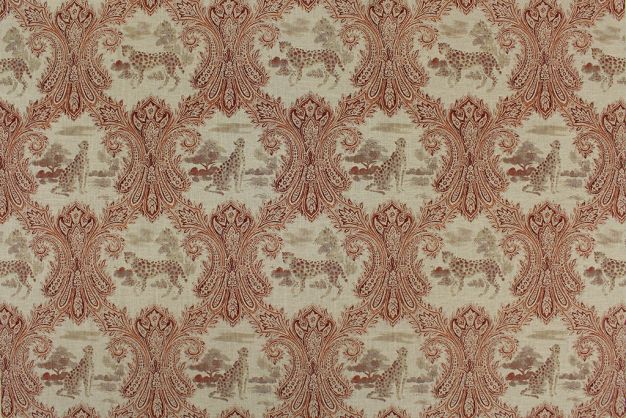 P Kaufmann Madagascar Cinnabar